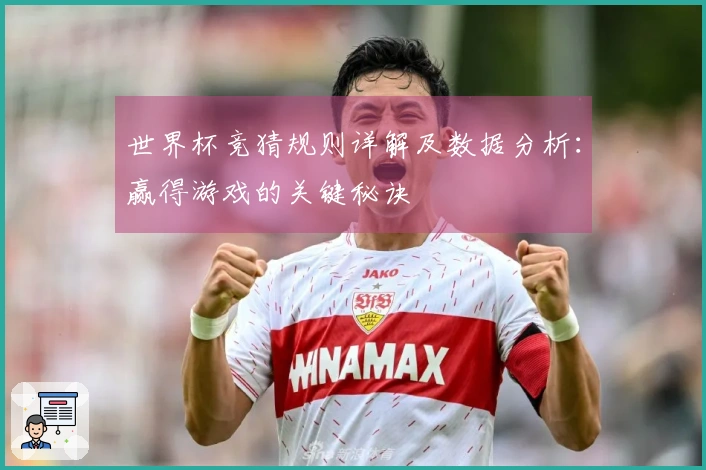 世界杯竞猜规则详解及数据分析：赢得游戏的关键秘诀