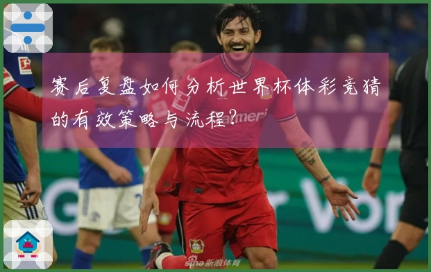 赛后复盘如何分析世界杯体彩竞猜的有效策略与流程？
