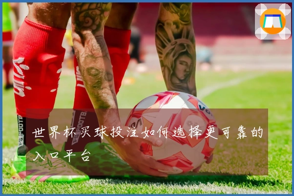 世界杯买球投注如何选择更可靠的入口平台