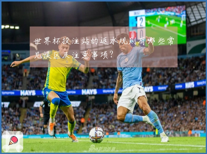 世界杯投注站的返水规则有哪些常见误区及注意事项？
