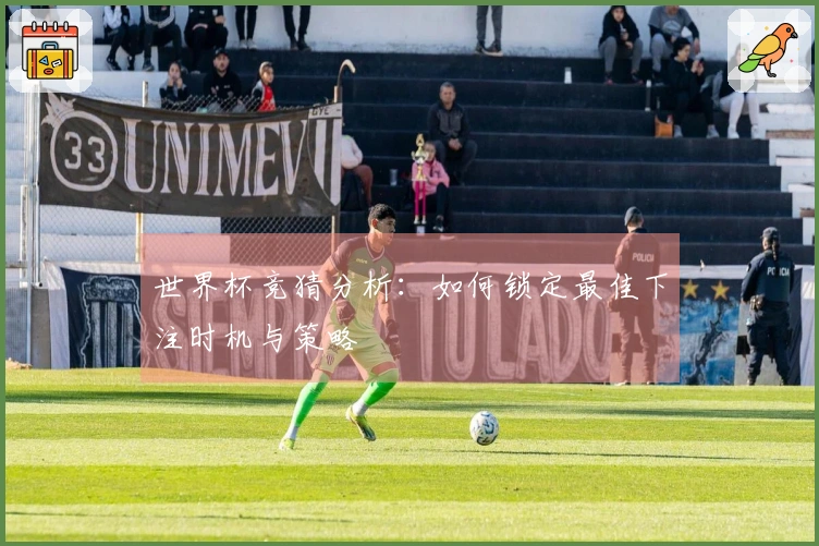 世界杯竞猜分析：如何锁定最佳下注时机与策略