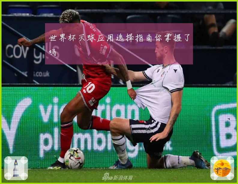 世界杯买球应用选择指南你掌握了吗