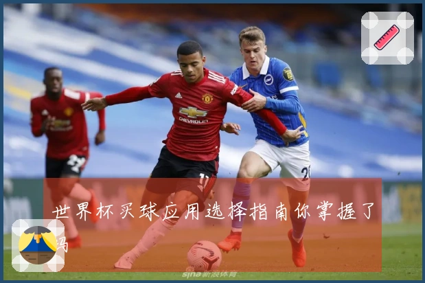世界杯买球应用选择指南你掌握了吗