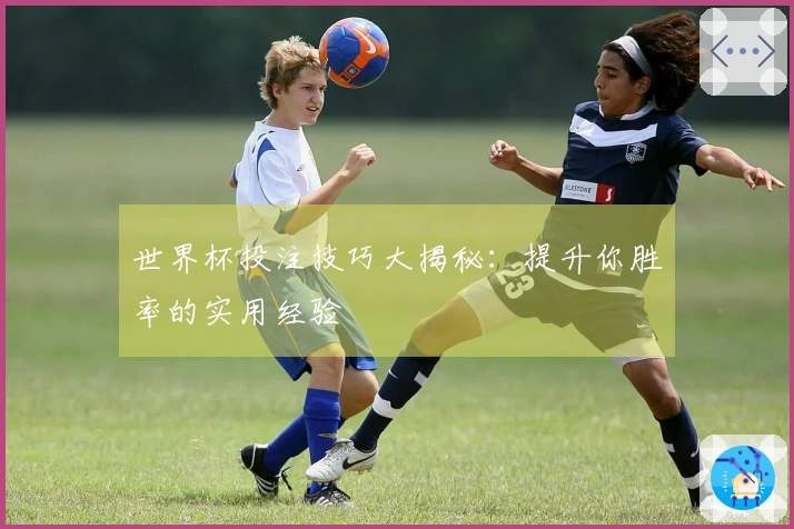 世界杯投注技巧大揭秘：提升你胜率的实用经验